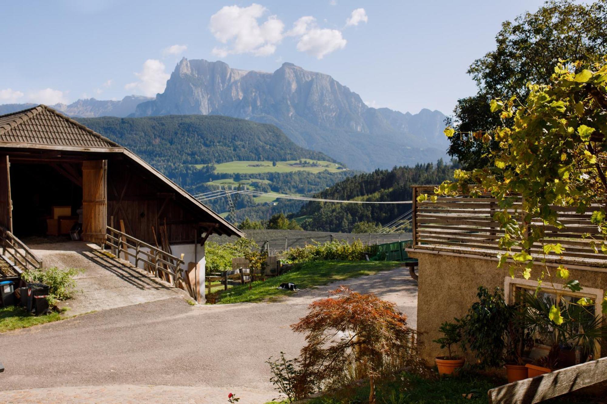 Rotwandterhof Wohnung Bienenstock Barbiano  Exterior foto